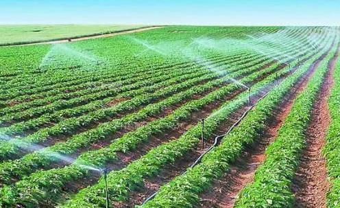 射精视频在线观看农田高 效节水灌溉